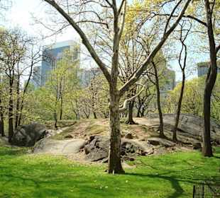 Central Park