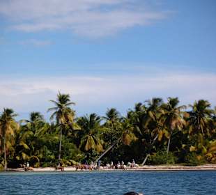 Hotel Grand Palladium Punta Cana Resort & Spa