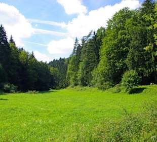 Der Therapeutische Wanderweg