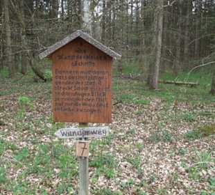 Wanderweg Kunst der kleinen Schritte