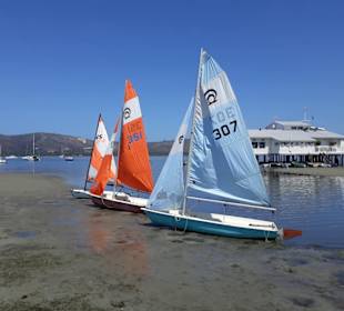 Warten auf die Flut