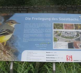 Infotafel Soestbach