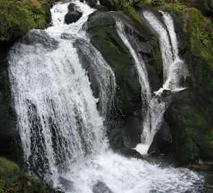 Triberger Wasserfall