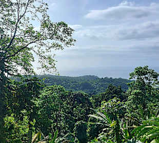 Parque Natural Obô do Príncipe