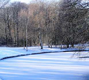Winterspaziergang durch den Bürgerpark