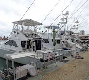 Blick auf die Marina