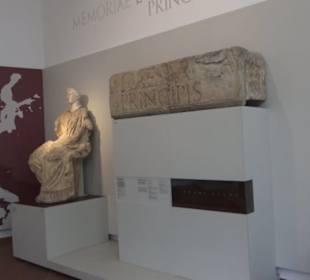 Rheinisches Landesmuseum 