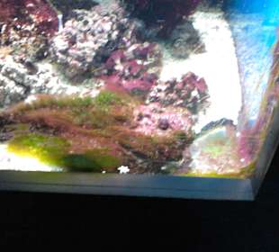 Tierpark Hellabrunn in München