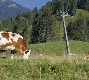 Wandern Hermagor - Pressegger See