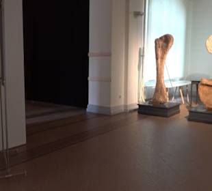 Museum für Naturkunde