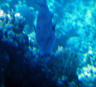 Unter Wasser 