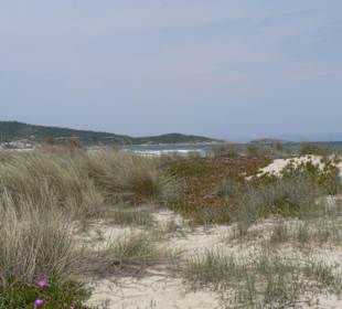 Strand von Sarti