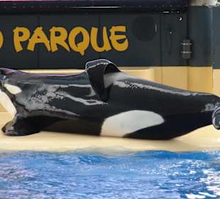 Eindrucksvoller Brocken