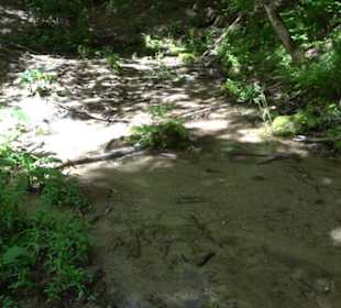 Wiesaztal Gönningen