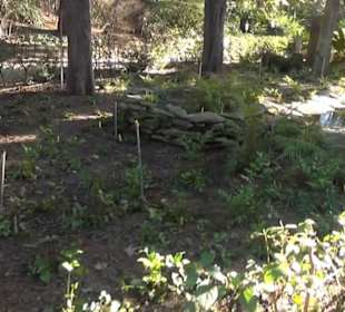 Real Jardín Botánico de Madrid