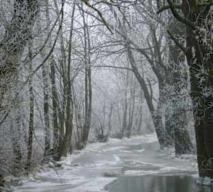 Packeis im Mühlbach