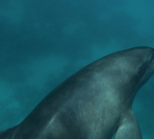 Soh nah das er mich fast berührt hat das war der H