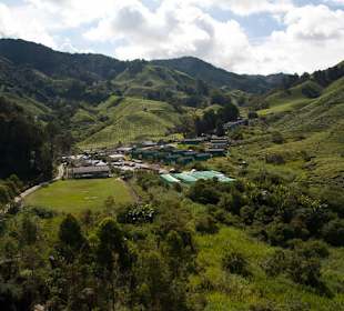 Malownicze widoki na plantacje herbaty