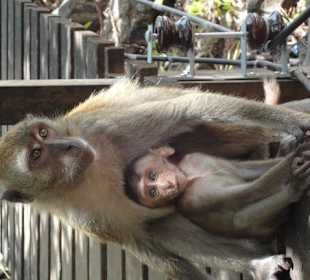 Ausflug nach Ao Nang