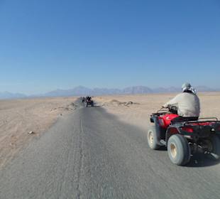 Quadtour mit Susi