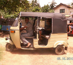 Piantas Tuk Tuk