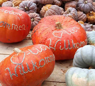 Kürbisausstellung Ludwigsburg