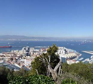 Ausflug nach Gibraltar 