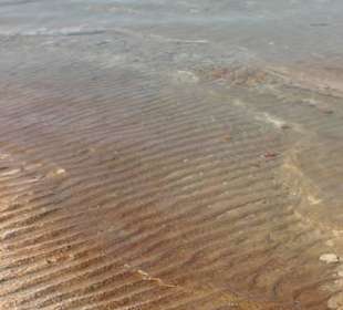 Мертвое море. Солевые отложения в воде