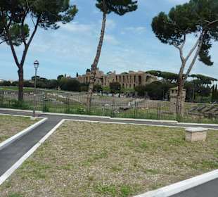 Im Hintergrund Palatine Hill