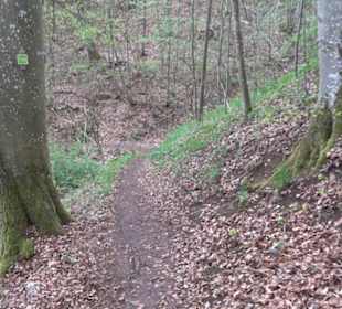 Premiumwanderweg Hochgebürzelt