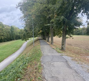 Wandern Bad Mergentheim