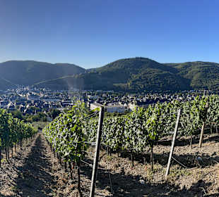 Wandern Bernkastel-Kues