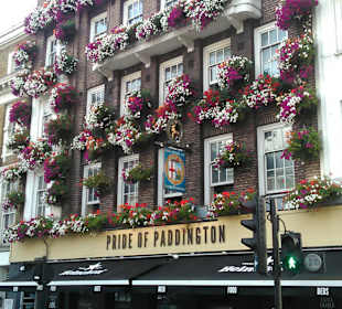 Pub Pride of Paddington