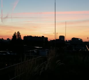 Ausblick