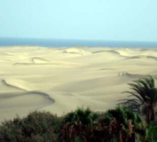 Sanddünen / Meer