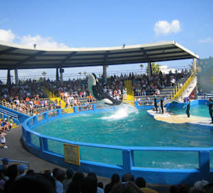 Miami Seaquarium