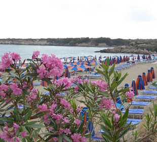 Arapis Coral Bay Restaurant und strand 