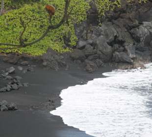 Wai'anapanapa State Park