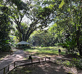 Gartenanlage