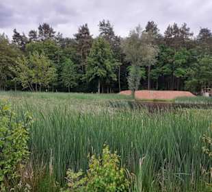 Seewoog in Ramstein-Miesenbach