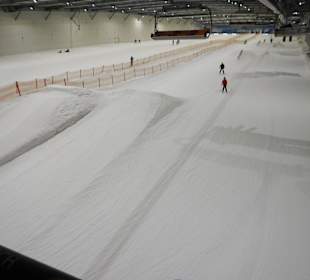 Snowdome