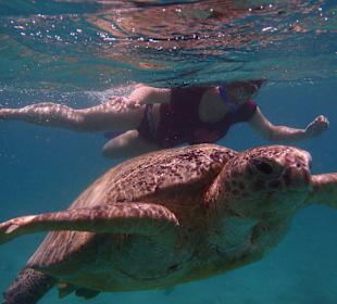 Snorkeling with turtles