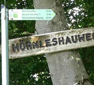 Premiumwanderweg "hochgelegen"