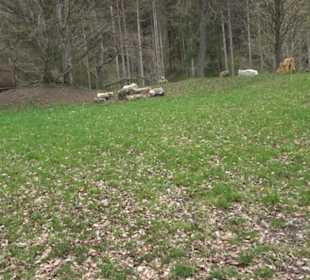 Waldspielplatz Kirchstraße