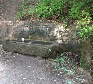 Altwege Rundwanderung Bebenhausen