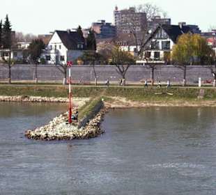 Rhein-Schifffahrt mit der Köln - Düsseldorfer
