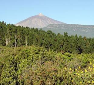 Teide Nordseite