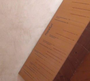 Entwicklung der Pflanzenwelt