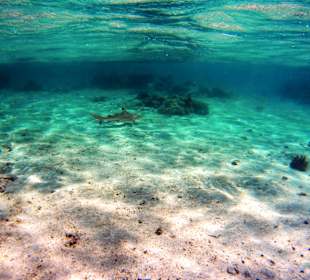 Schnorcheln Marsa Alam