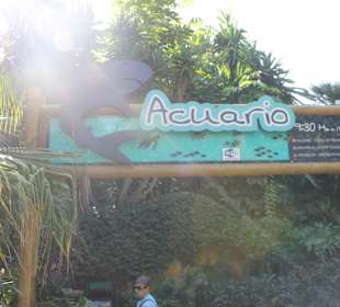 Eingang zum Aquario